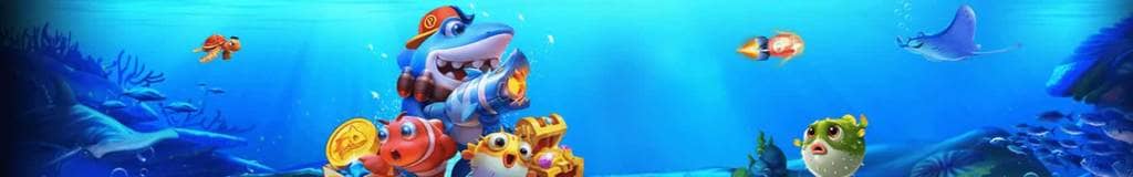 different kinds of sudoku
